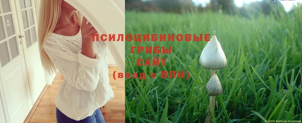 дживик Алексин