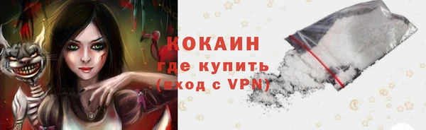 дживик Алексин