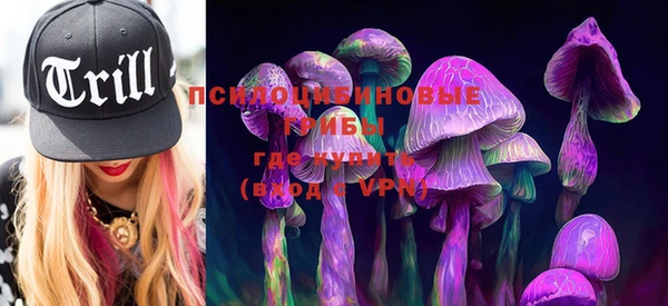 PSILOCYBIN Алексеевка