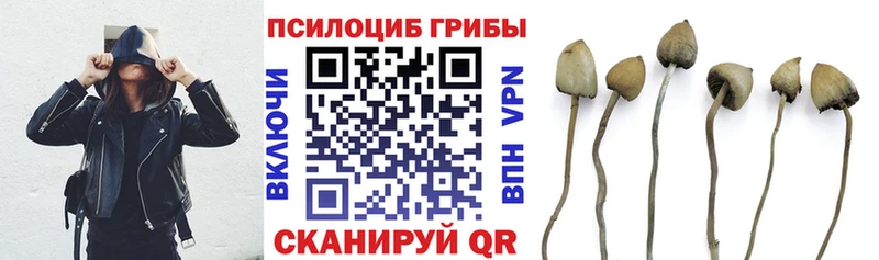 Галлюциногенные грибы Magic Shrooms  Нефтекумск 