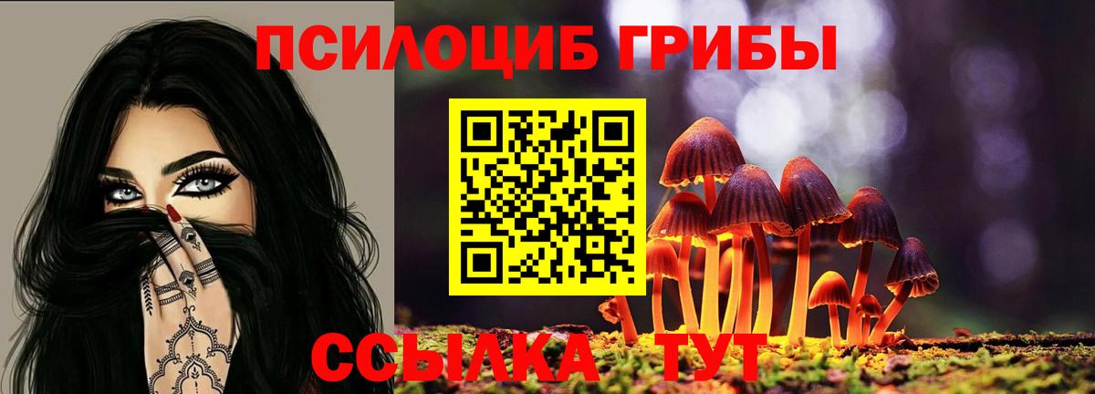 Нефтекумск  цена   Псилоцибиновые грибы Psilocybine cubensis  Вход с VPN  Псилоцибиновые грибы Psilocybe 